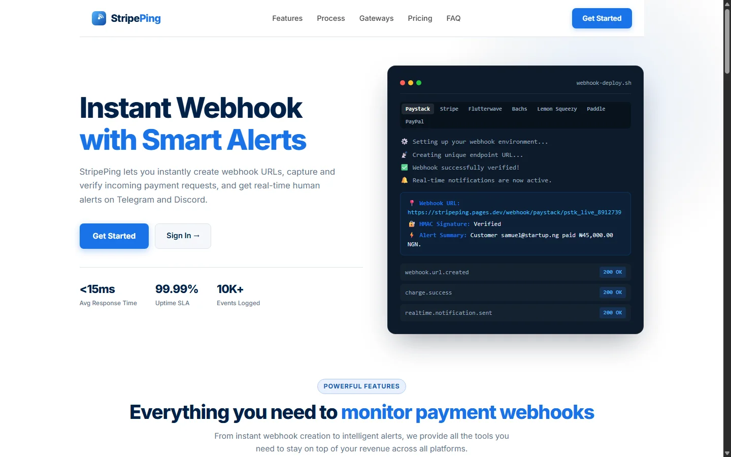 StripePing desktop UI